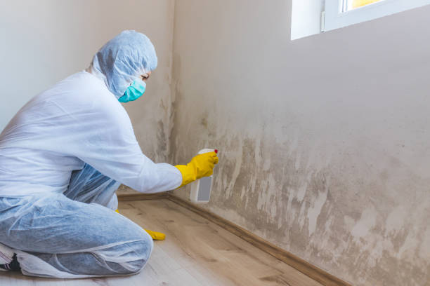 Hvac And Air Duct Mold Remediation inspection of HVAC system in Ahoskie